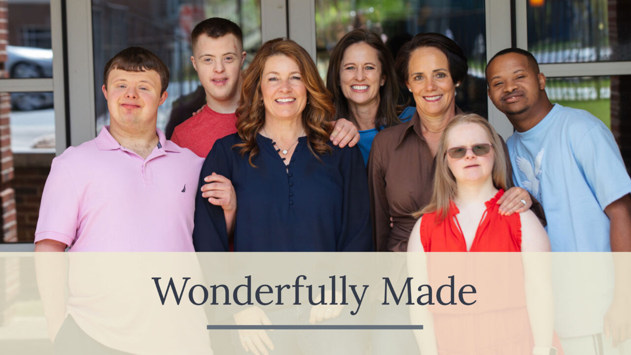 Wonderfully Made